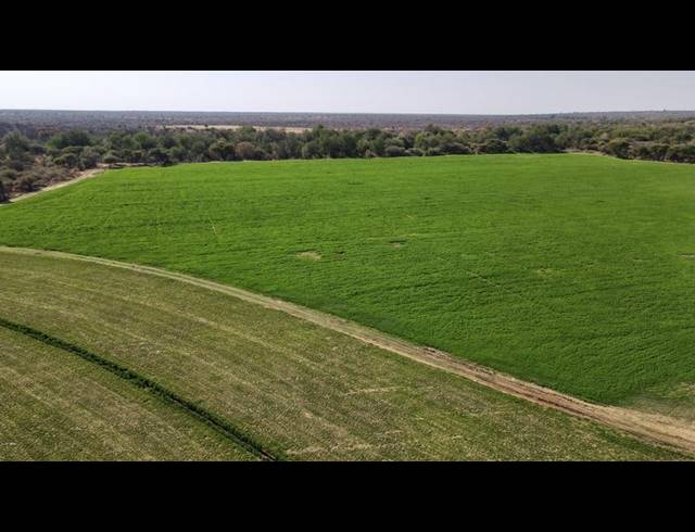 FARM FOR SALE IN THABAZIMBI RURAL